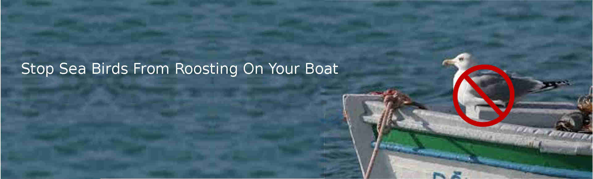 bird roosting on boat without a bird deterrent