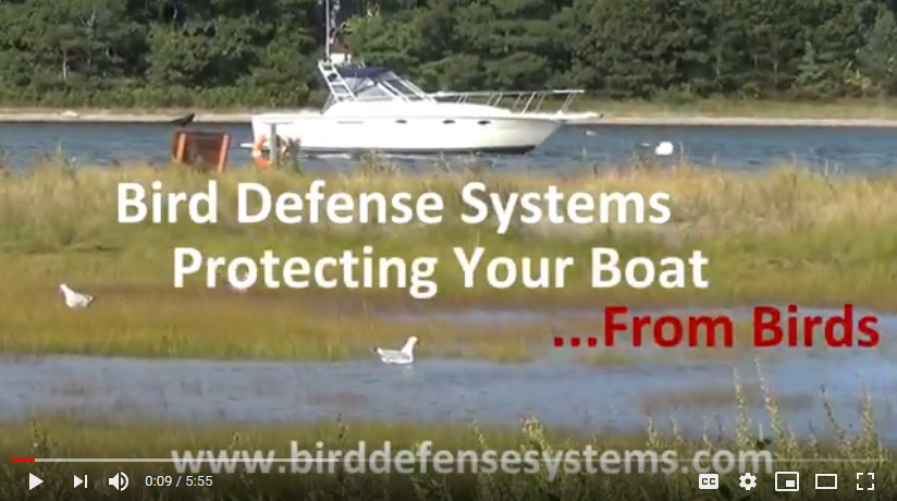 Bird Deterrent for Boats Video