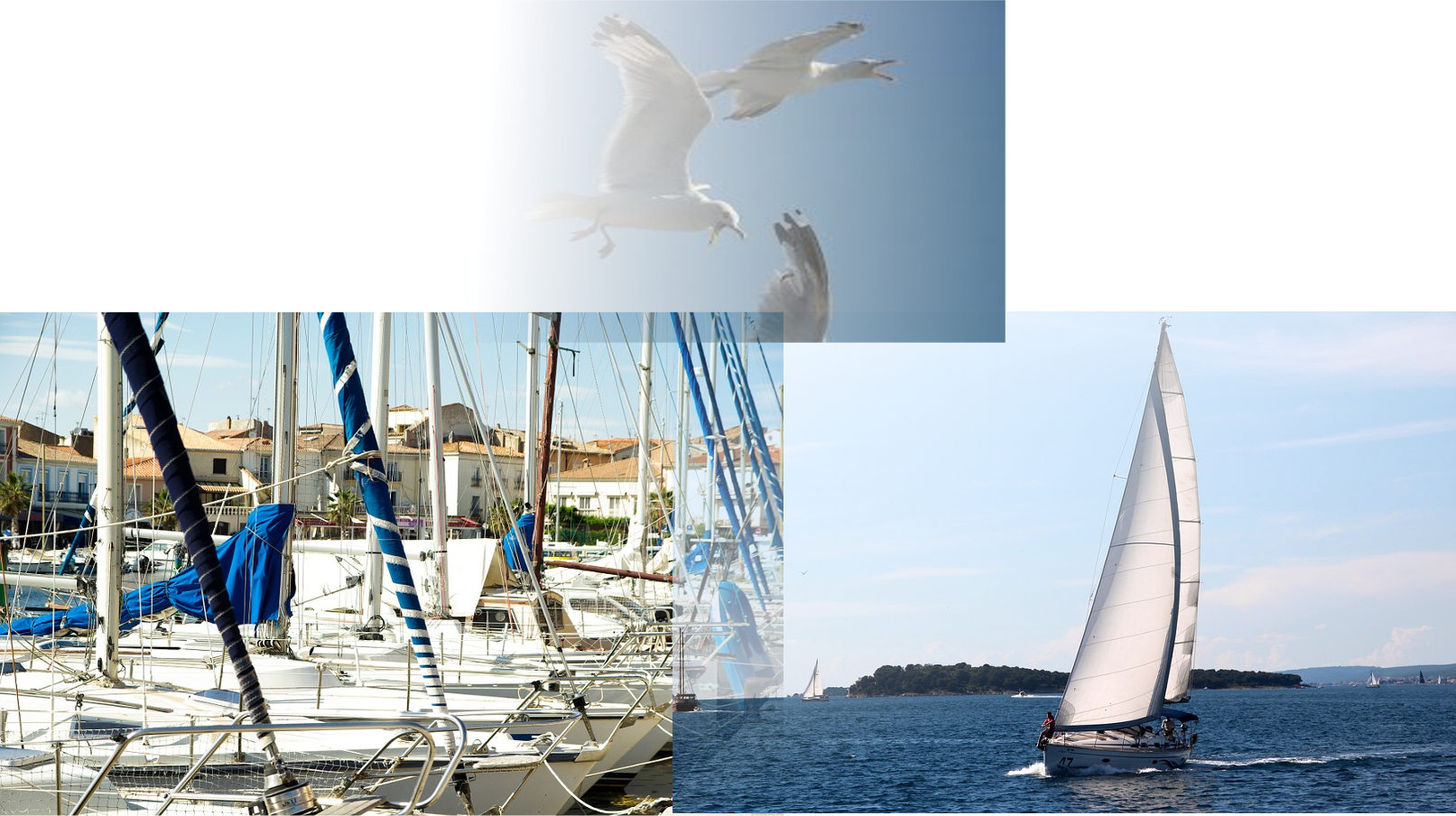 bird deterrent systems to protect your sailboat